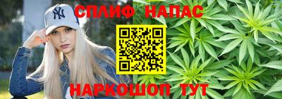 гидра Свободный